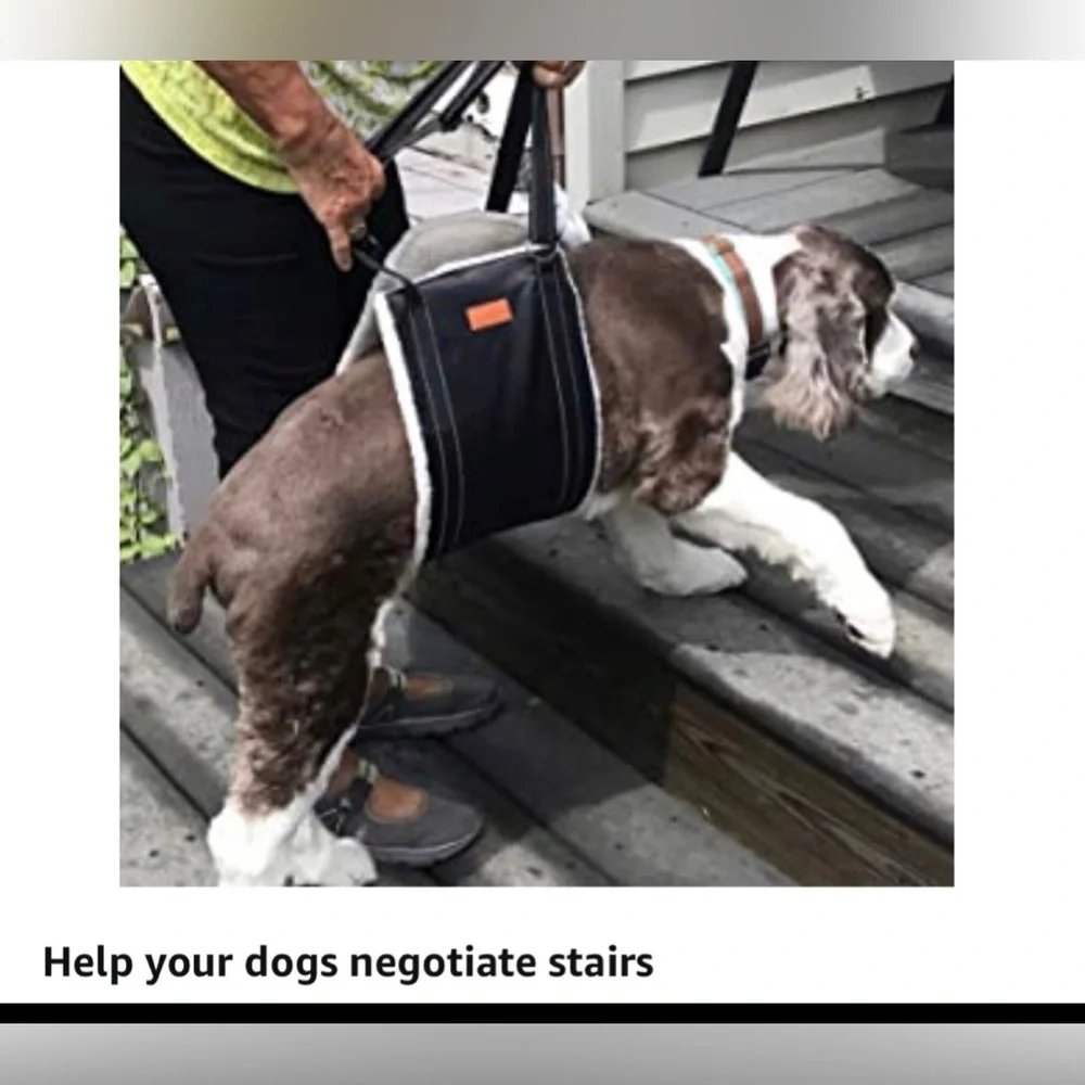 New Size M Black Loobani Dog Lift / Sling (bag not included)